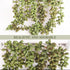 Floweroyal Artificial Succulents Hanging Plants 12.2'' Fake String of Pearls in Pot with 8.3'' Lanyard for Indoor Outdoor Wall Decor....