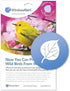 WindowAlert Aspen Leaf Anti-Collision Decal - UV-Reflective Window Decal to Protect Wild Birds from Glass Collisions - Made in The USA...