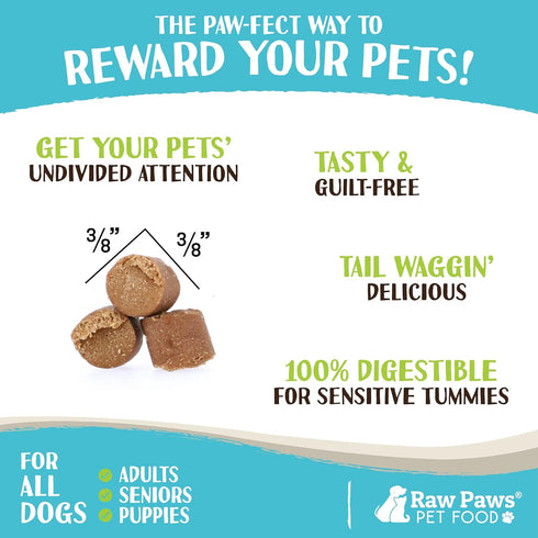 Raw Paws Grain-Free Soft Training Treats for Dogs - Peanut Butter Recipe, 6 oz - Made in USA - Natural Soft Puppy Training Treats - Low Calorie Sm...