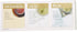 Davidson's Organics, Tulsi Mango Peach, 100-count Unwrapped Tea Bags...