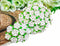 Mini Flowers Mulberry Paper Artificial Craft Scrapbook Wedding Supply Accessory DIY. Small Flower Bouquets, Greeting Cards Decorations. (White)...