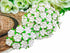 Mini Flowers Mulberry Paper Artificial Craft Scrapbook Wedding Supply Accessory DIY. Small Flower Bouquets, Greeting Cards Decorations. (White)...
