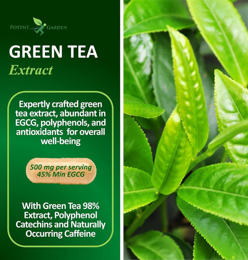 Green Tea Extract with EGCG Natural Energy, Mental Focus, Immune Support, Antioxidant and Healthy Heart Formula, Non-GMO 120 Green Tea Extract Cap...