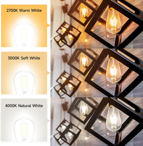 SHINESTAR Edison LED Light Bulbs, Dimmable E26 LED Bulb 60 watt, 6W High Brightness 4000K Daylight white, ST58 Antique LED Filament Bulbs with 80+...