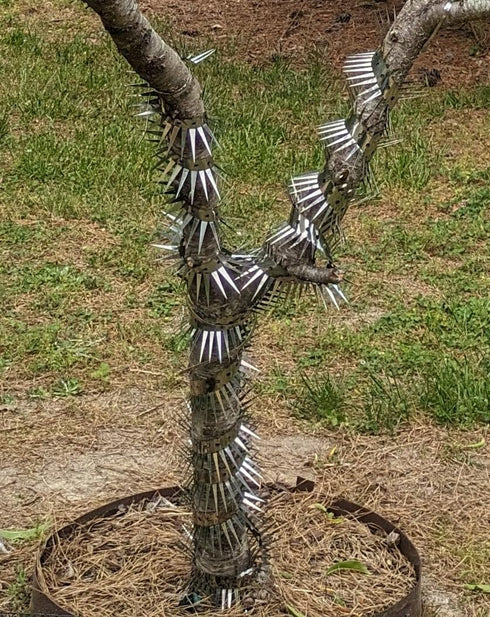 Comastbo40“ Raccoon Squirrel Spikes Deterrent for bird feeder pole,Tree baffle for Squirrel Raccoon Cat Deer,Good for Wall Barns Fence Roof with S...