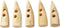 5 Pieces, 2" Long Natural Bone Toggles for Coats and Jackets Bone Buttons for Craft, Medieval, Viking, Medieval Fantasy Accessories...