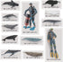 Ocean Sea Marine Animal Figure Toys Playsets 12 PCS Diver Whale Model Toy Desktop Decoration Collection Party Favors Toys for Boys Girls Kids...