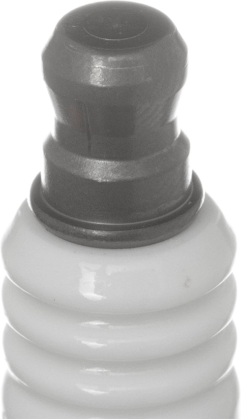 NGK 1223 Spark Plug, 10 count (pack of 1)...