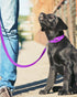 6ft Dog Leash for Small Medium Large Dogs | One-Sided Reflective Nylon | Padded Handle | 3/4 inch Wide | Purple...