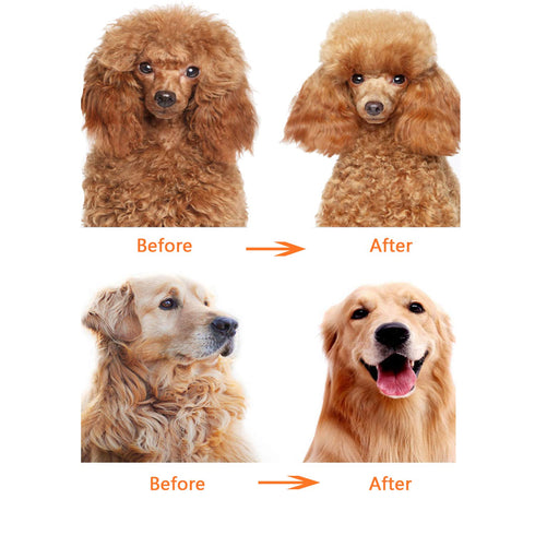 Dog or Cat Comb Grooming with Short and Long Teeth Dematting Knots Tangles Remover Combs Detangler Tool Suitable for Dogs Cats Poodle HorseStainle...