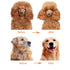 Dog or Cat Comb Grooming with Short and Long Teeth Dematting Knots Tangles Remover Combs Detangler Tool Suitable for Dogs Cats Poodle HorseStainle...