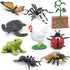 Montessori Life Cycle Animal Figures with Flash Cards, Realistic Animal Figurines Toy, Animal Educational Matching Game for 3+ year old Toddlers K...