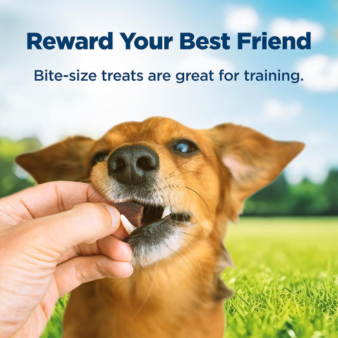 Blue Buffalo Nudges Bite-size Chewy Dog Treats with Real USA Beef, Made with Natural Ingredients, Great for On-the-Go, 5.5-oz. Container...
