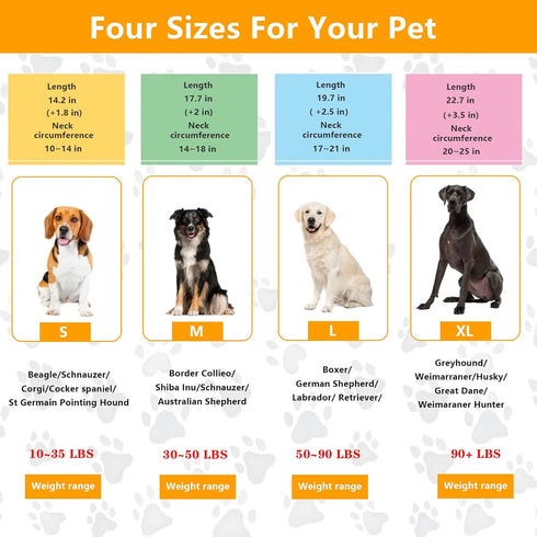 Martingale Collar for Dogs, No Pull Dog Collar for Small Medium Large Dog...