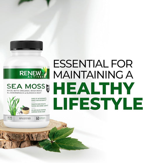 Renew Actives Sea Moss Capsules - Premium Triple-Action Antioxidant Blend with BioPerine for Ultimate Absorption - Organic Irish Sea Moss, Bladder...