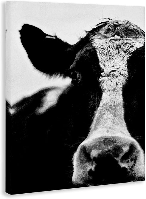 Stupell Industries Cow Face Portrait, Designed By Lettered and Lined, 16 x 20, Canvas Wall Art...