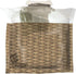 Black Flag Disposable Fly Trap, Attracts All Major Fly Species...