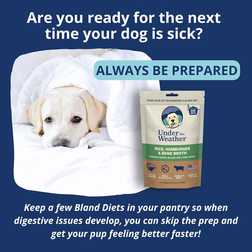 Under the Weather Easy to Digest Bland Diet for Sick Dogs - Always Be Ready - Contains Electrolytes - Gluten Free, All Natural, Freeze Dried 100% ...