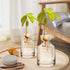 Avocado Seed Sprout Starter Planter Vase - Glass Avocado Tree Growing Vase Planter Pot Grow Avocado Trees Stickers at Garden Home for Planter Love...