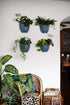 The HC Companies 8 Inch Garden Wall Planter - Plastic Hanging Plant Pot for Indoor Outdoor Flowers, Herbs, Slate Blue...
