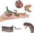 Mini Amphibians Set,6PCS Reptiles Animals Rainforest Wildlife Toy Set Lizard,Snake,Iguana,Crocodile,Party Favor for Kids Toddlers...