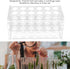 17mm Test Tube Rack with 18 Holes - Durable Transparent Centrifuge Tube Holder for 10ml and 15ml Test Tubes...