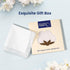 Selected Hanky Women's Wedding Handkerchief with Lace, Ladies Hankies for Embroidery and Wedding, Handkerchiefs of Textile...