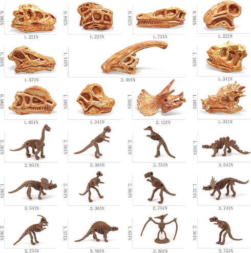 Dinosaur Head Skeleton Fossil Assorted Bones Playsets 23 PCS Action Figures Model Toys for Kids...