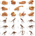 Dinosaur Head Skeleton Fossil Assorted Bones Playsets 23 PCS Action Figures Model Toys for Kids...