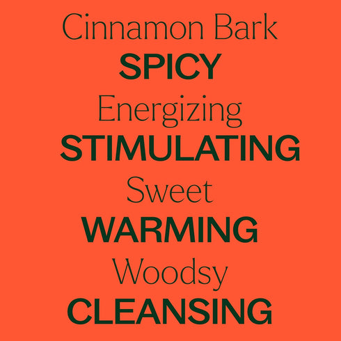 Plant Therapy Cinnamon Bark Essential Oil 10 mL (1/3 oz) 100% Pure, Undiluted, Cinnamon Oil for Diffuser, Spray, Candle Making, Spicy, Sweet Scent...