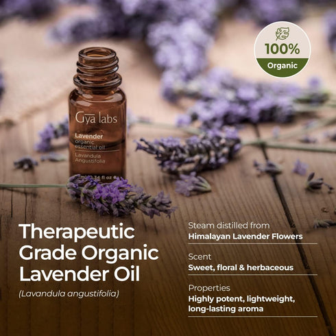 Gya Labs Organic Lavender Essential Oil for Diffuser & Skin - 100% Natural Organic Lavender Oil for Aromatherapy & Feelings of Relaxation - Lavend...