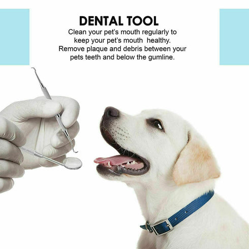 Dental Tools Set - Stainless Steel Krisp Beauty 1 Pc Dental Tooth Pick Tartar Remover Plaque Scraper Probe Scaler Mouth Oral Hygiene Care Dentist ...