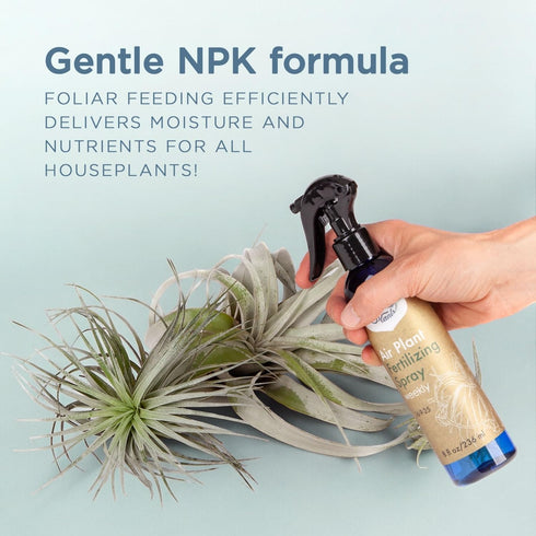 Air Plant Fertilizing Spray by Southside Plants - Fertilizer Mist for Houseplants, Weekly Plant Food - Gentle Mist Formula for Miracle Feed & Grow...
