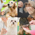 Dog Combs, Stainless Steel Pet Grooming Comb with Rounded Ends, Metal Pet Comb for Removing Tangles and Knots of Dogs, Cats and other Pets....