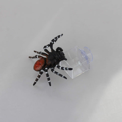 crapelles 4pcs mini insect water dish, Transparent and harmless plastic, small reptile feeding feeder, crickets pet worm cups spider gecko Butterf...