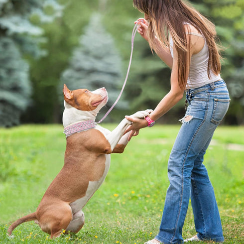 Dog Collars for Medium Dogs with Leash, Epesiri Spiked Dog Collar for Large Dogs, Girl Pink Dog Collar, Studded Rivet Pit Bull Leather Dog Collar ...