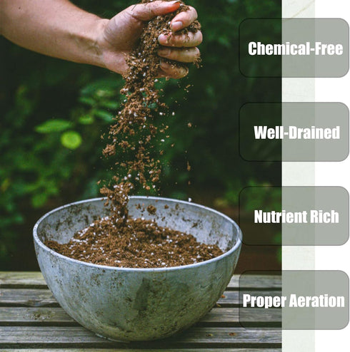 Organic Potting Soil Mix for All Indoor & Outdoor Small Containers Including Herbs, Vegetables, and Flowers 1 qt...