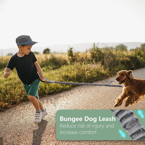 BUMBIN 6Ft Dog Leash Large Dogs, Bungee Dog Leash with 2 Handles, Heavy Duty Dog Leashes for Medium Small Dogs, No Pull Shock Absorbing Dog Leash ...