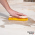 Scrub Brush - Stiff Bristle Brush for Deep Cleaning, Nylon Brush with Hard Bristle, Utility Hand Brush for Indoor and Outdoor, Wooden Scrubbing Br...
