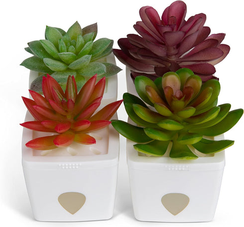 JT Eaton ZendoZones 1818-2JT Fruit Fly Trap Joyful Janet & Tranquil Tabitha, 2 Pack, White Base...