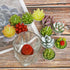 Succulent Cactus Tea Light Candles Cute Plant Shaped Bulk for Birthday Party Wedding Baby Bridal Shower Favor Decor Hostess Gift Sets (12 PCS)...