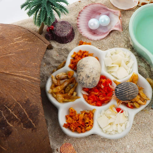 2 Pack Spider Coconut Shell Shelter, Hermit Crab Hideout, Lizard Hiding Cave, Turtle Rest Hut, Fish Tank Aquarium Decoration...