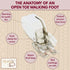 Madam Sew Open Toe Walking Foot for Quilting and Sewing Through Multiple Layers & Match Prints | Walking Foot Sewing Machine for Low-Shank Sewing ...