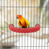 Bird Perches Parrot Cage Perch Rough Surface Perch Stand for Parakeets Budgies Cockatiels Conures Lovebirds (Small (Red)...