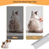 Pet Grooming Combs with Rounded Tips, Stainless Steel Bristles, Easy Detangling Tool for Long & Short Haired Dogs, Cats, and Other Furry Friends, ...