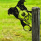 Animal Peeping Metal Art Outdoor Decor Garden Fence Decoration Farmhouse Backyard Hang Artwork Cow Chicken Lion Tight Dog Cat Eagle Yard Statue Gi...