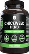 PURE ORIGINAL INGREDIENTS Chickweed Herb, (365 Capsules), No Magnesium Or Rice Fillers, Always Pure, Lab Verified...