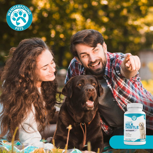 Wanderfound Pets Milk Thistle for Dogs – Tasty Salmon & Bacon Flavored Natural Liver Support for Pets – Kidney Cleanse Detox & Repair Formula Manu...
