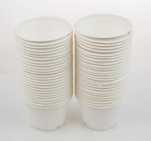 Golden Apple, 4oz-50ct Portion cups. Compostable Sugarcane/Bagasse. Biodegradable. Sample food cups....