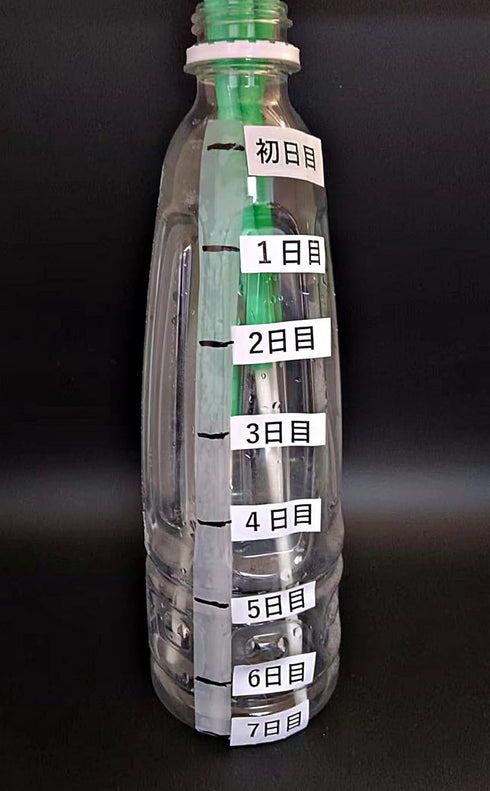 OASIS PAD for Car Humidification,24hrs free power supply humidifier, can enjoy the natural humidification effect anytime, anywhere in the car....